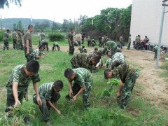 福州声誉好的上网成瘾机构是哪家_高中生如何戒掉网瘾