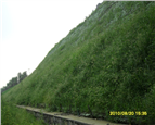模袋-模袋施工-南京市模袋混凝土施工公司 2014低价
