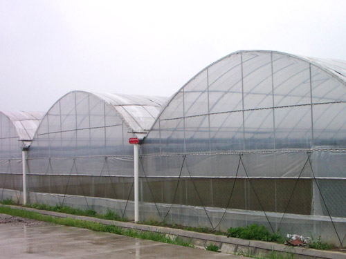 美观的智能温室建造