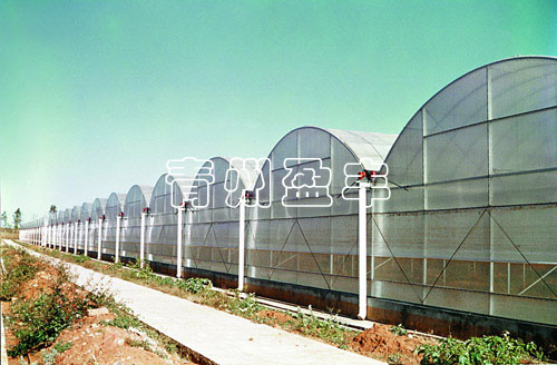 2014薄膜连栋温室建设