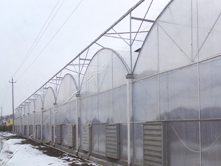 金阳温室工程公司供应优质的智能连栋温室建造   智能连栋温室