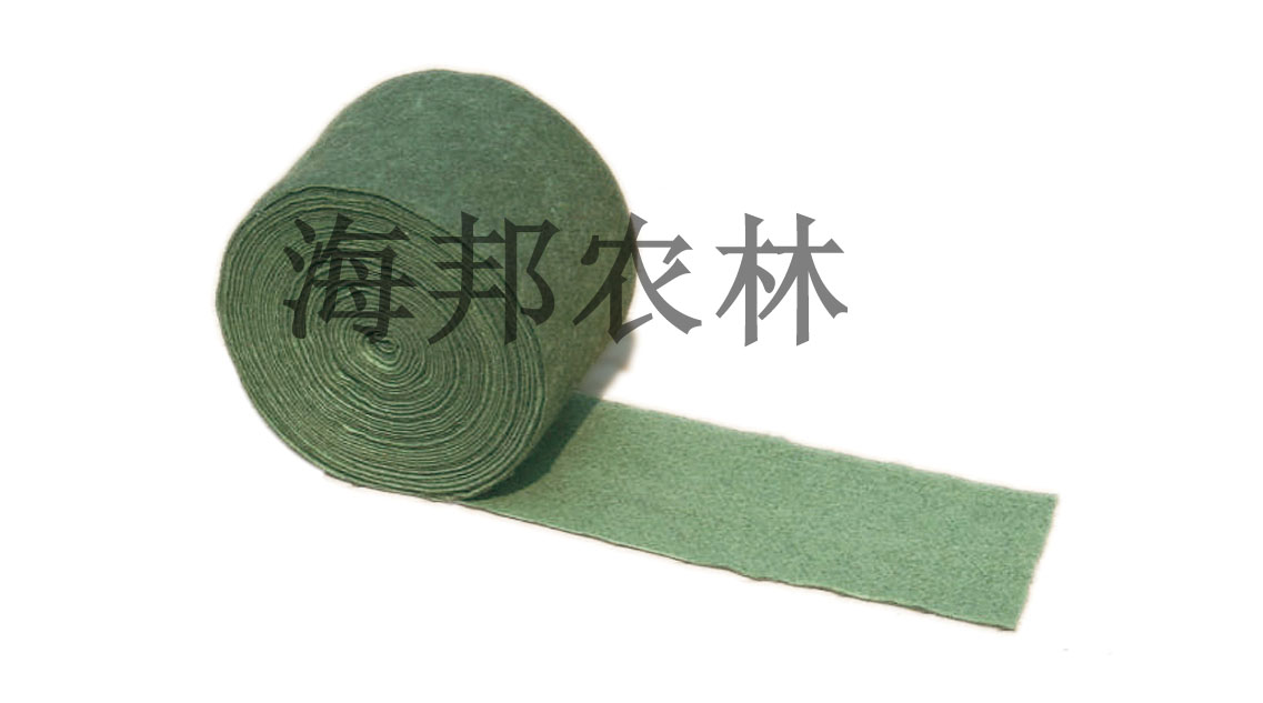 植物绷带
