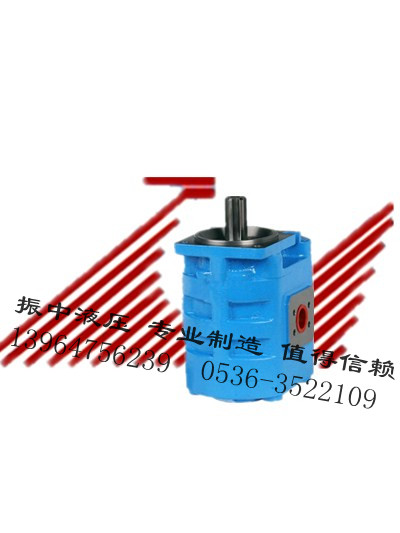 山东高压齿轮油泵 山东声誉好的高压齿轮油泵供应商是哪家