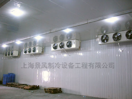 上海哪里有卖销量好的低温冷库