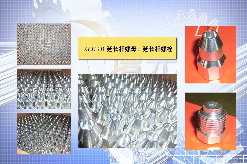 延长杆螺母，螺栓