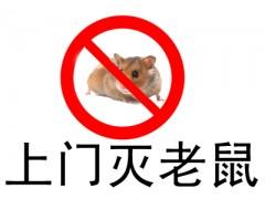 想找有经验的兰州专业灭鼠，就来甘肃环景环保 银川灭鼠就找环景