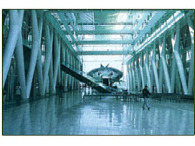 山東水環(huán)式真空泵_旋片式真空泵_水環(huán)式真空泵生產(chǎn)廠家-淄博市博山聯(lián)誼真空泵廠