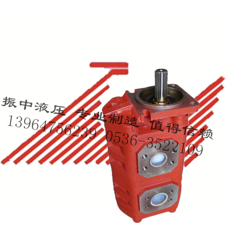 最超值的双联齿轮油泵在哪可以买到