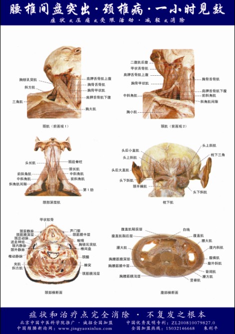怎么选择质量好的骨病专科
