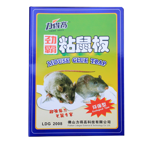 到哪儿能买到物超所值的灭老鼠药