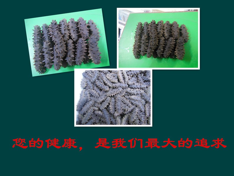 拉缸盐海参信息，价位合理的中火候拉缸盐海参，绿野海参供应