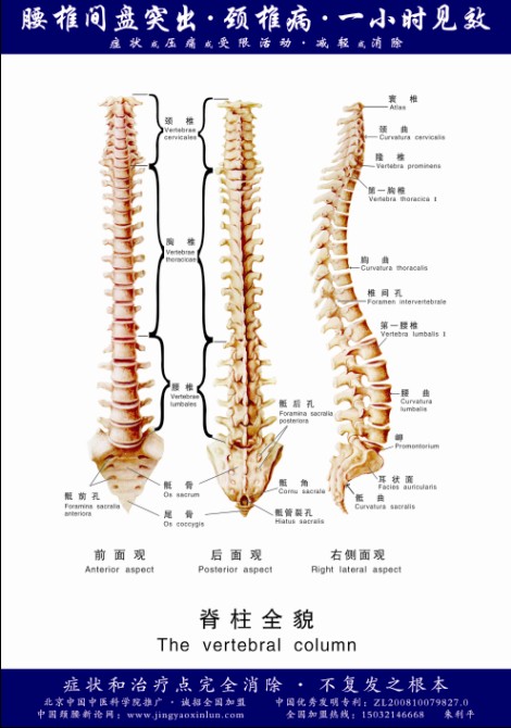 推荐高档的骨病专科