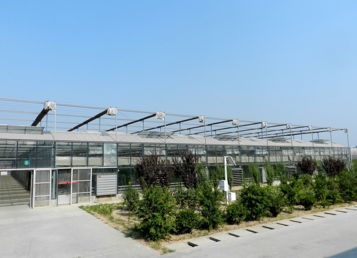 进口玻璃温室大棚市场价格情况