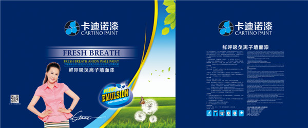 南通实惠的墙面漆