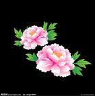 洛阳肾囊肿 |可信赖的肾囊肿