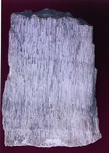 郑州祥昱价格合理的电熔莫来石[特供]|纯天然电熔莫来石粉