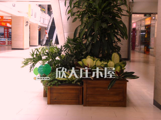浙江木屋生产厂家_找优质木屋上欣大庄景观工程公司