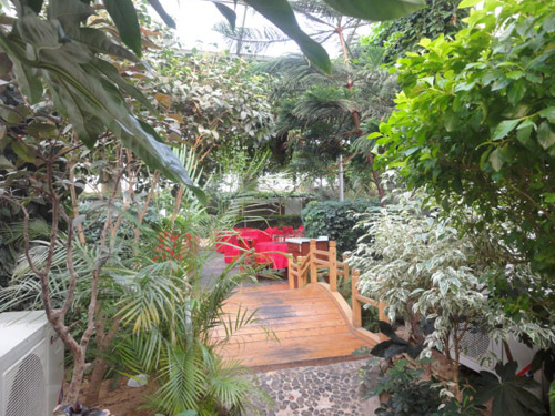生态餐厅建设—腾源