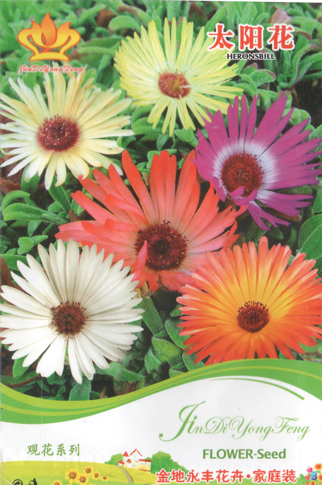 商丘鄭州花種批發-質量好的花種推薦