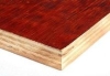 桂林板厂松木面模板量大从优_采购松木红板