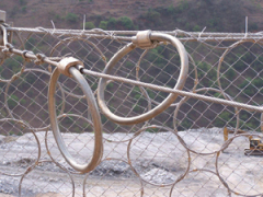 衡水提供價格合理的被動環形網——被動環形網哪里買