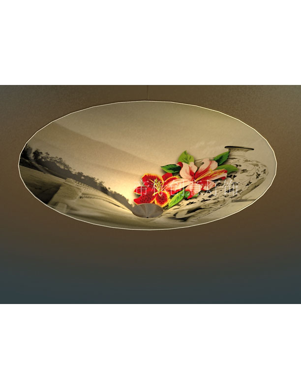 帝标创意吸顶灯