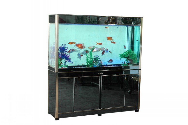 生态鱼缸技术_生态鱼缸销售