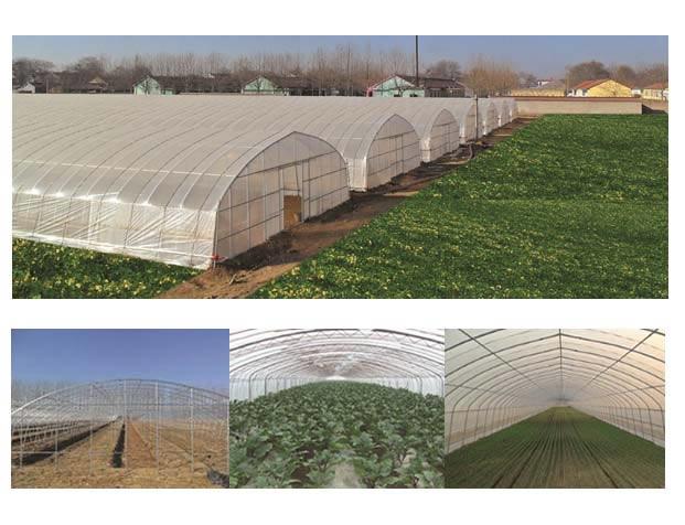 蔬菜大棚建造_新型蔬菜大棚建造