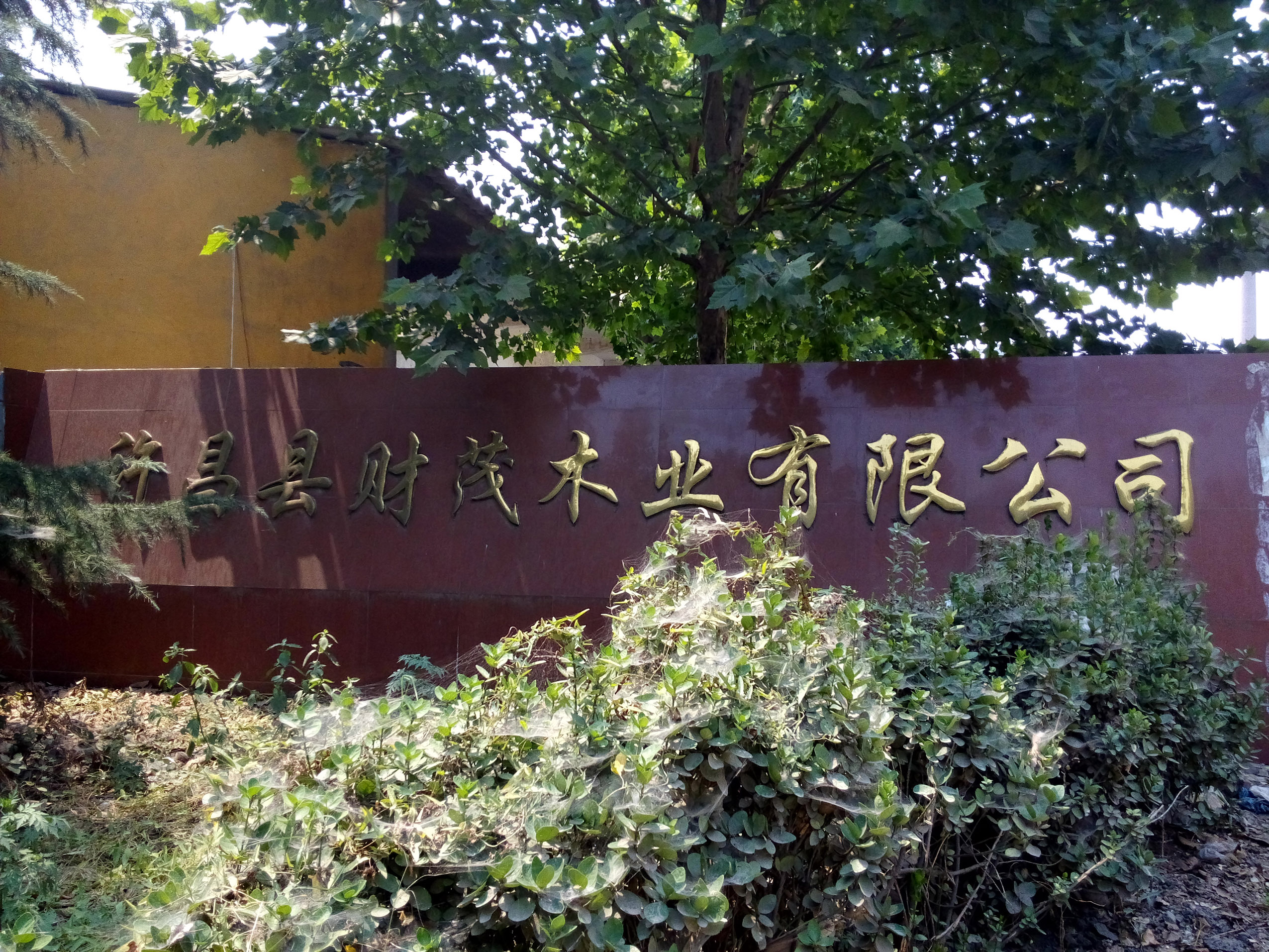 财茂木业公司低价出售——价格适中的财茂木业公司在哪里