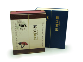 灵芝包装盒 冬虫夏草礼品盒 高档海参礼品包装 海参包装礼盒 