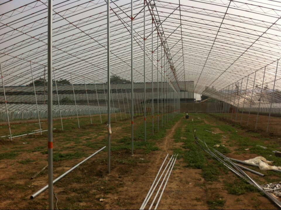 日光温室建造：提供优质日光温室建设