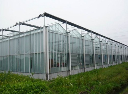 玻璃连栋温室建造