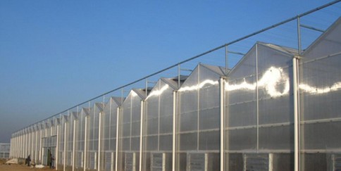 连栋温室建造-阳光板连栋温室