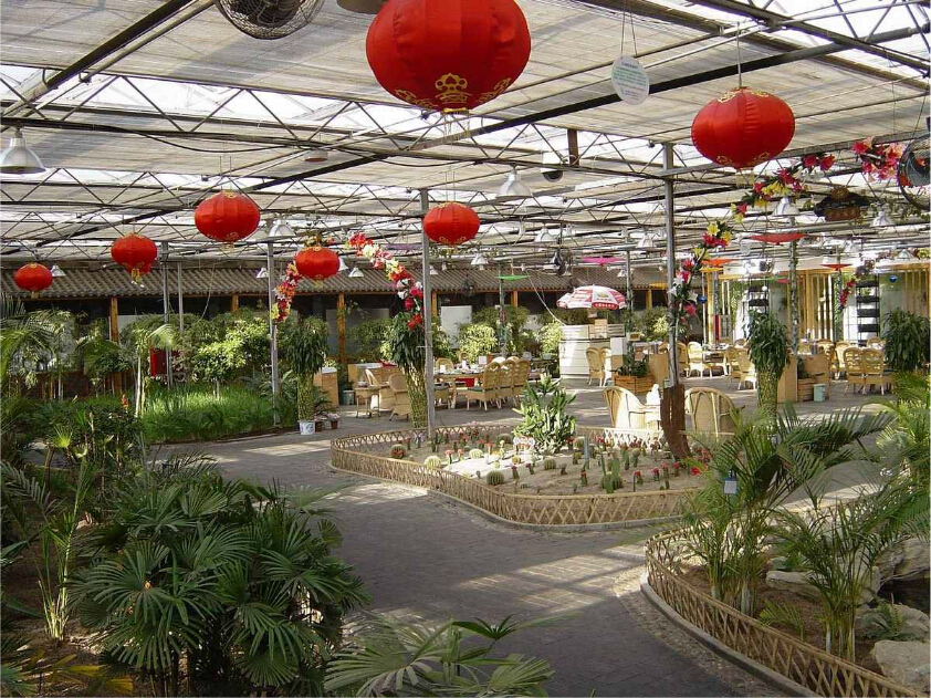 莱太花卉市场|外贸花卉市场温室大棚市场价格情况