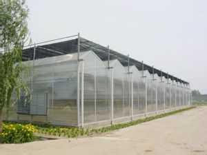 青州大棚建设- 智能连栋温室建造