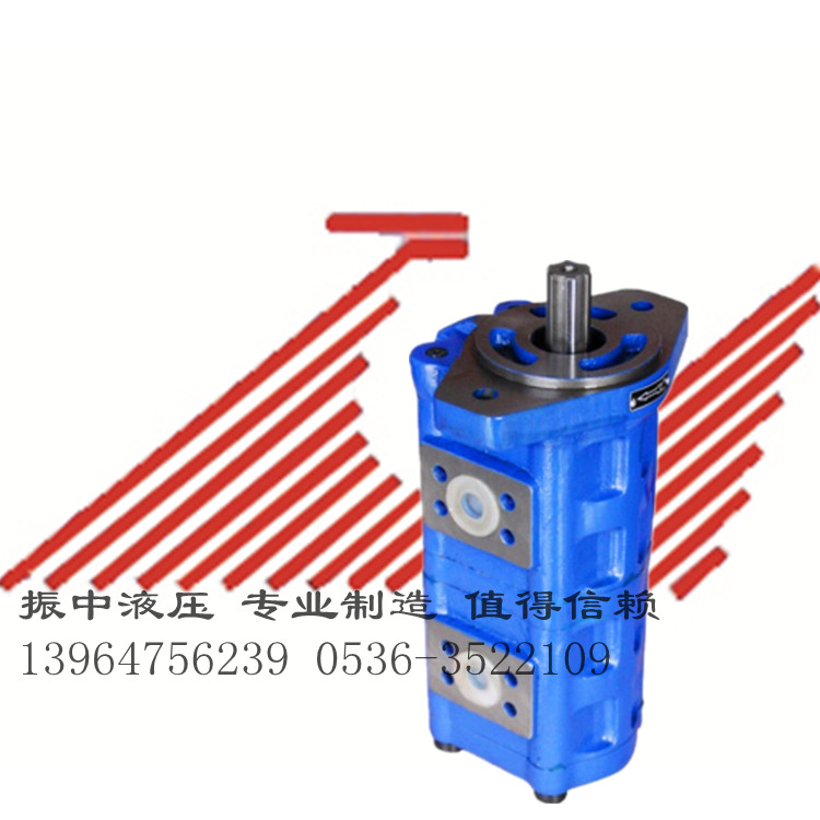 供应双联齿轮泵 山东价格合理的双联齿轮油泵供应