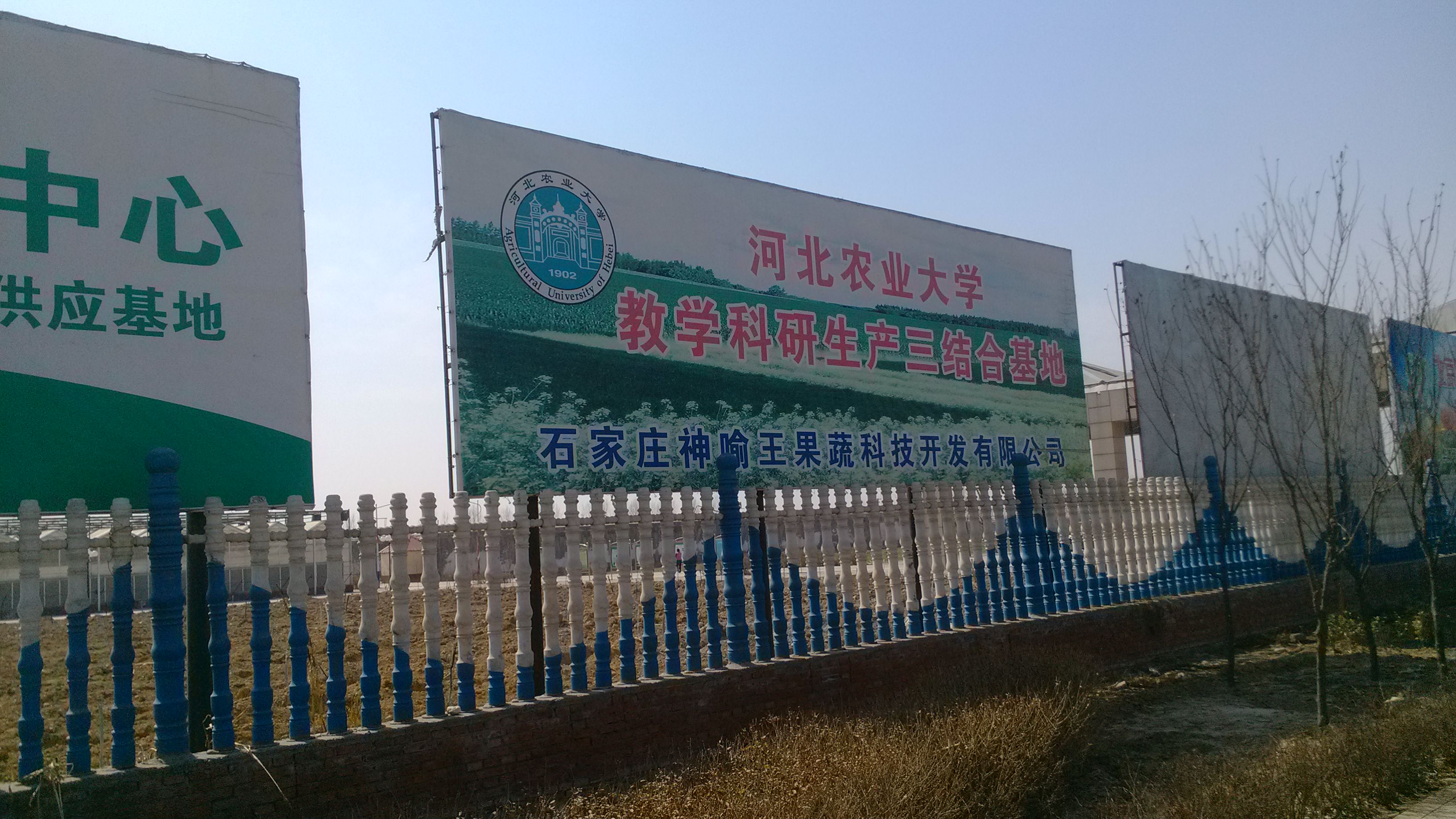 无害果蔬出售——超值的绿色果蔬，神喻王供应