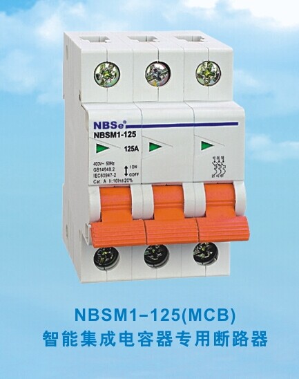 NBSM1-125智能集成电容器专用断路器