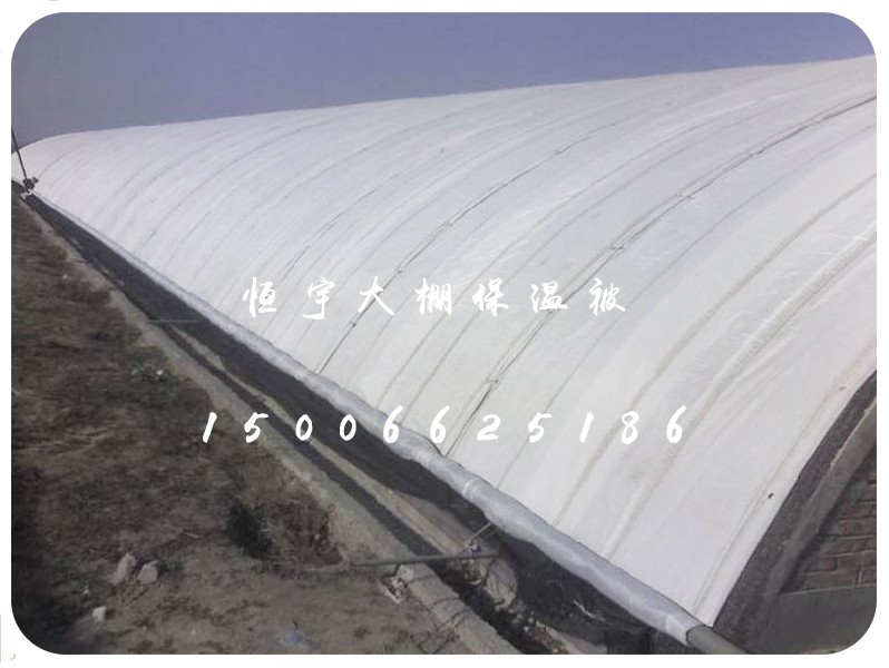 具有口碑的新型大棚保温被厂商