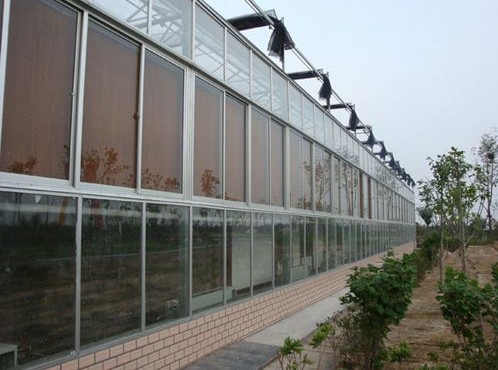 阳光板连栋温室大棚