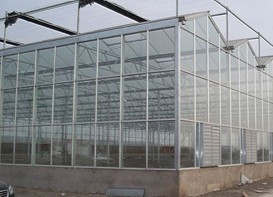 玻璃温室大棚建造找北方园艺