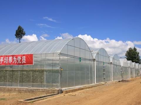 薄膜温室建造
