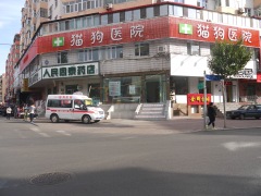哈尔滨可信赖的宠物医疗夜间急救中心：道里哈尔滨宠物医院