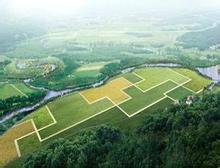 石家庄哪有供应最好的生态观光园|采摘园口碑好