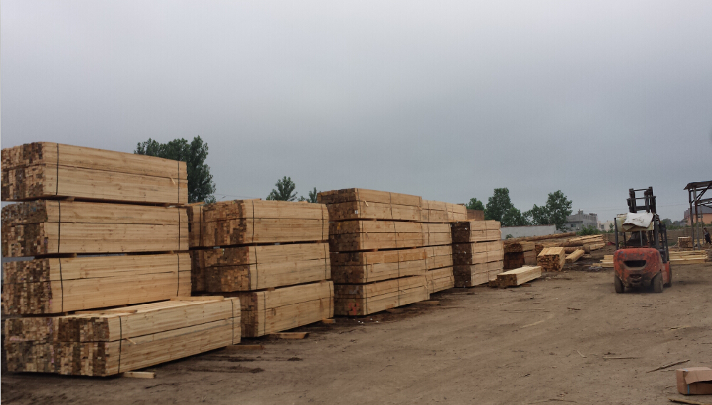 莆田区域实惠的福建建筑方料——龙岩建筑木方