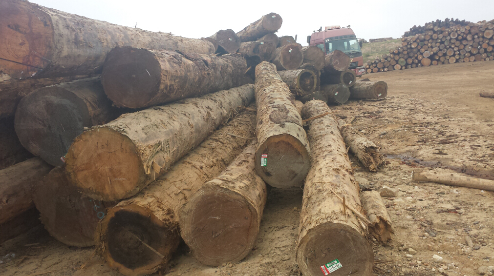 泉州木方木材，出售莆田实惠好用的木方