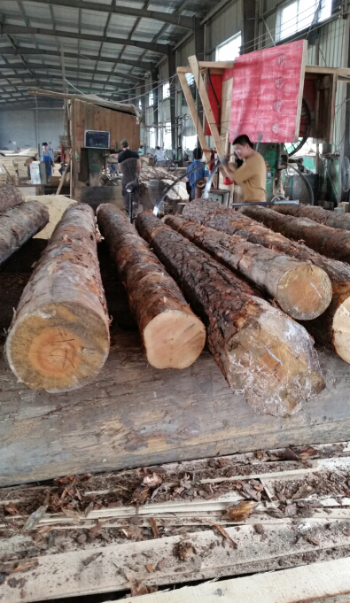 荣丰木业实用的木方【供应】