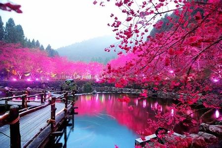 福州到日本旅游线路_福州去日本旅游报价