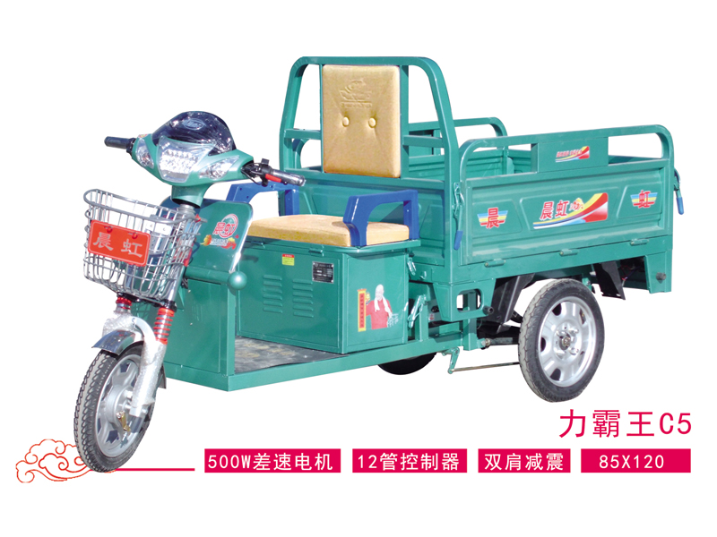 淄博哪有卖价格合理的电动三轮车 淄博电动三轮车