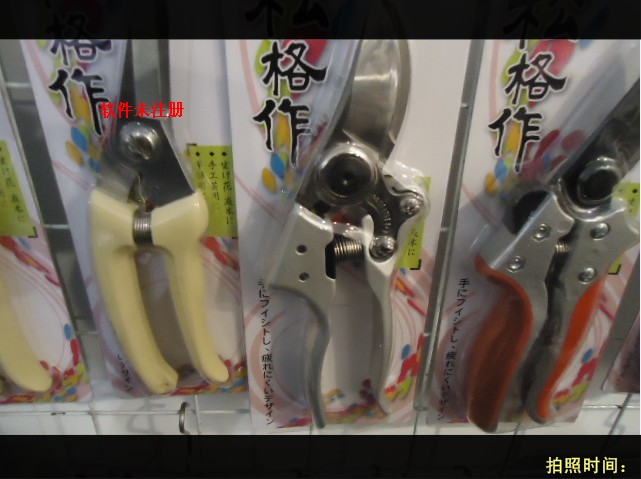 园林工具 粗枝剪 高枝剪